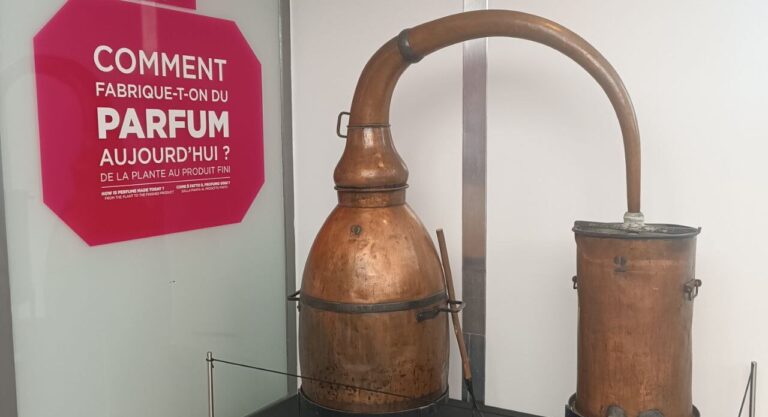 Grasse, capitale mondiale du parfum : une visite inspirante